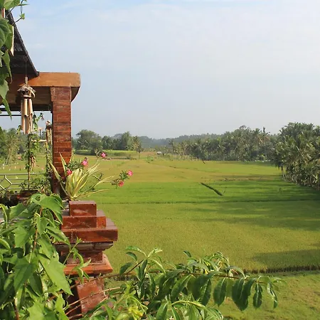 Fortuna Guest House